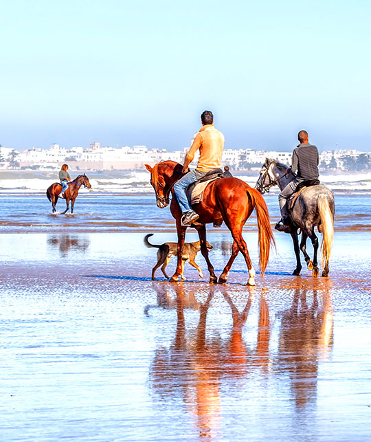 montez-a-cheval-au-maroc